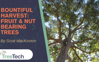 Bountiful Harvest: Fruit & Nut Bearing Trees of North Texas
