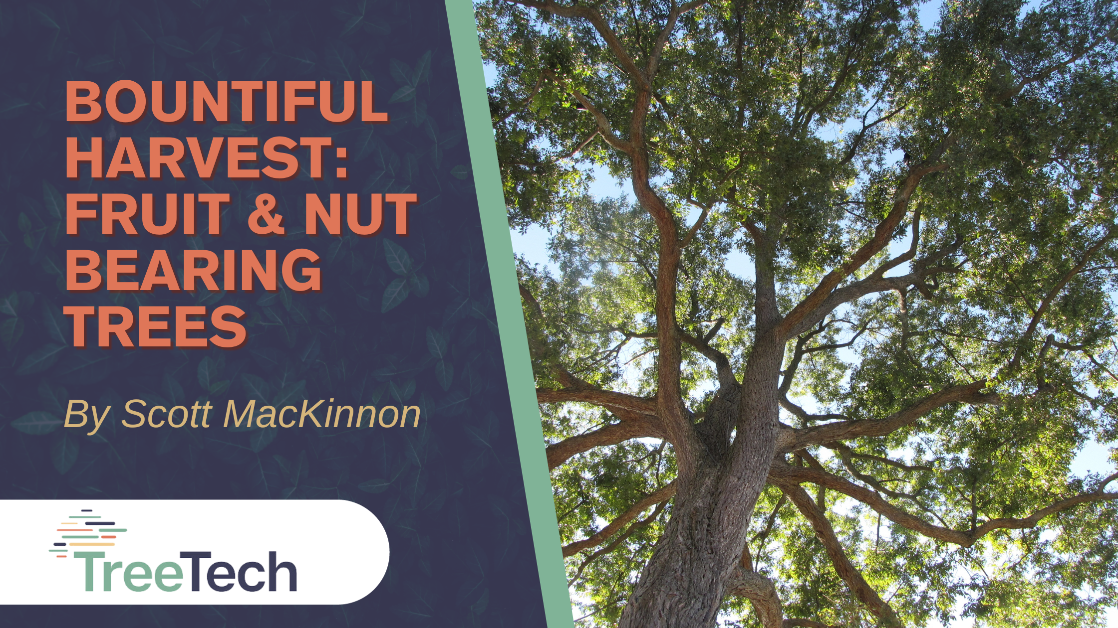Bountiful Harvest: Fruit & Nut Bearing Trees of North Texas
