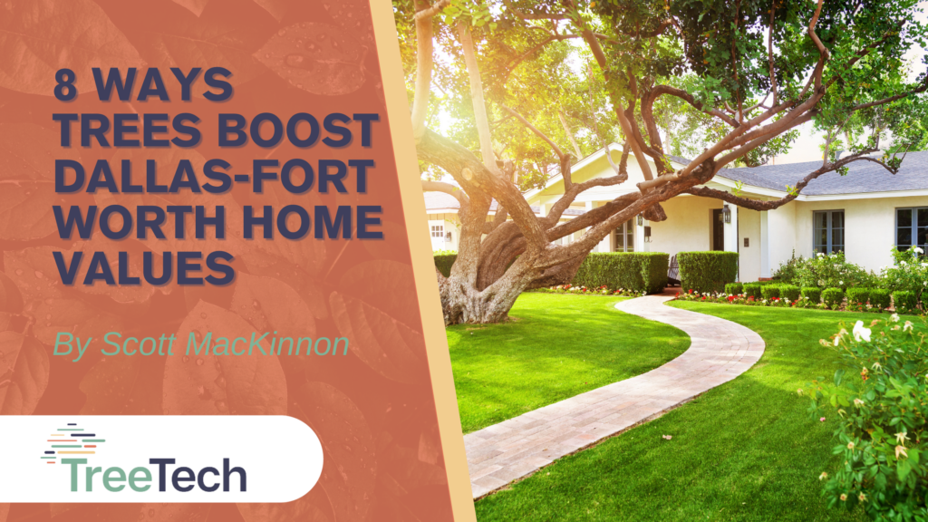 8 Ways Trees Boost DallasFort Worth Home Values TreeTech
