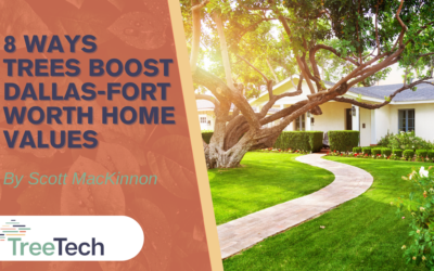 8 Ways Trees Boost Dallas-Fort Worth Home Values