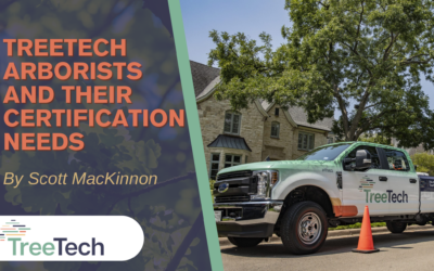 TreeTech Arborists and Their Certification Needs
