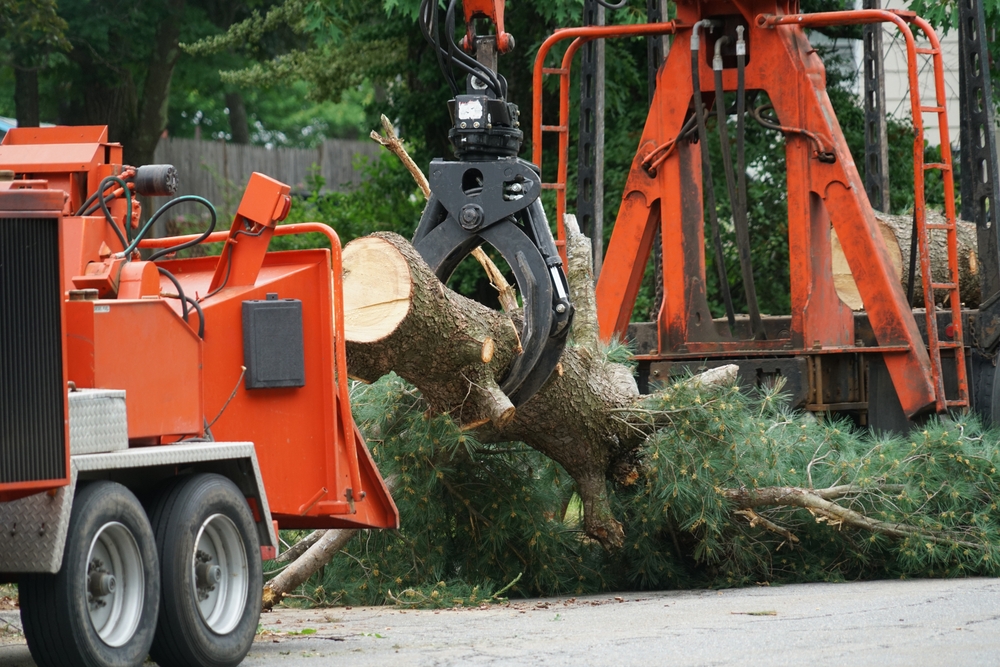 Removed,Tree,Trunk,By,Crane,In,Residential,Area Tree removal