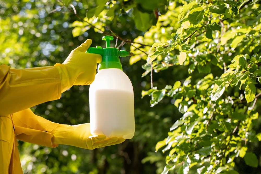 Tree Insect And Disease Control Experts In Love Field Tx 5969