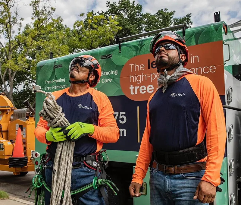 Two TreeTech arborists wearing safety gear look up, ready for a job, with a branded truck displaying tree care services in the background.